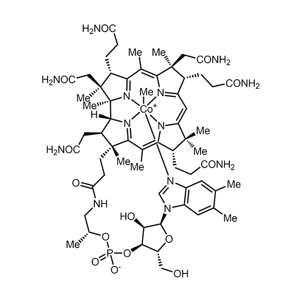 VitalFit-Neuro 