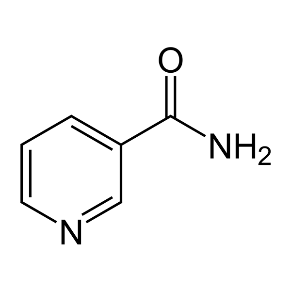 VitalFit-Neuro 