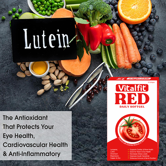 vitalfit red capsule